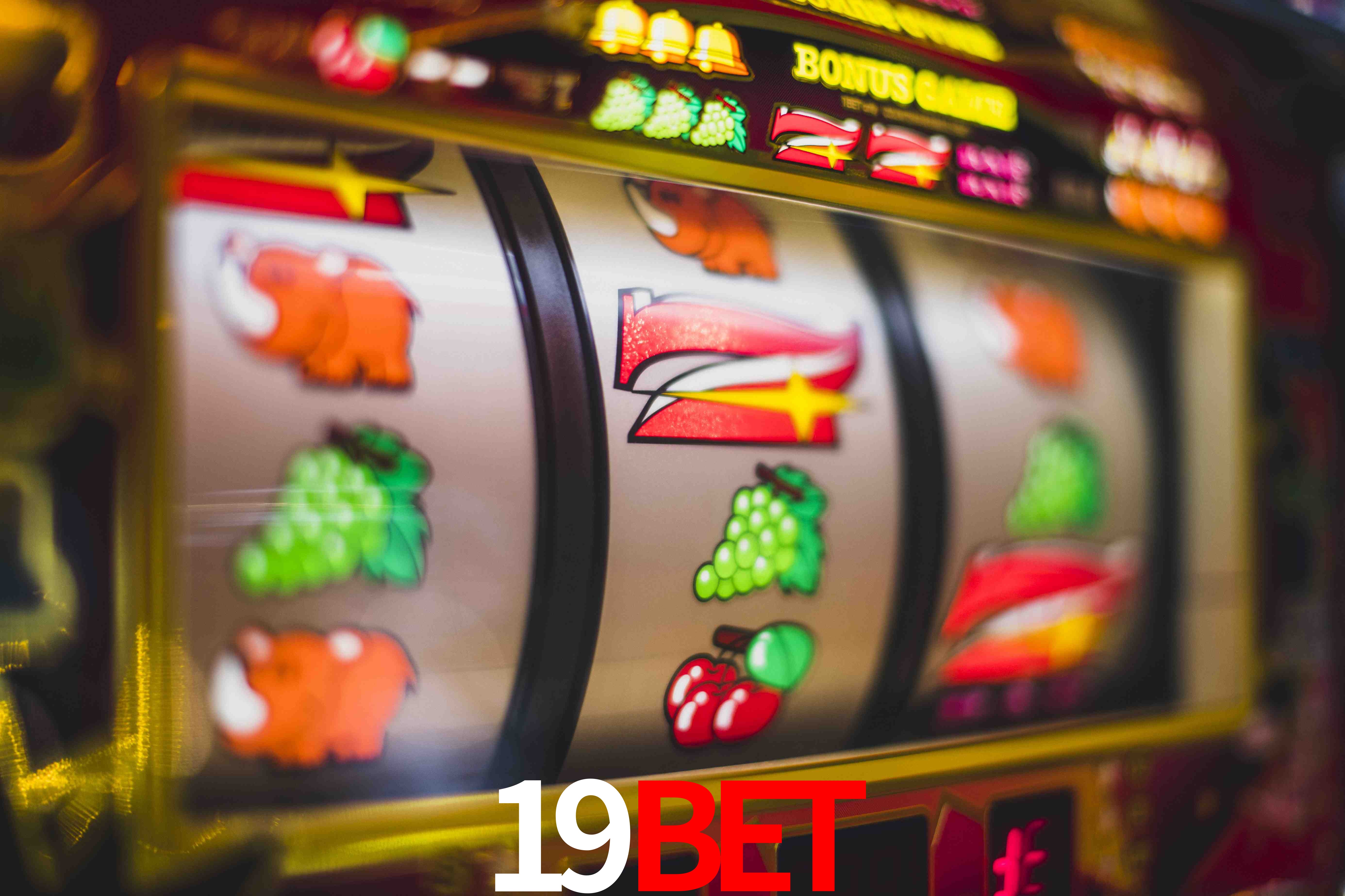 Football Betting 19bet