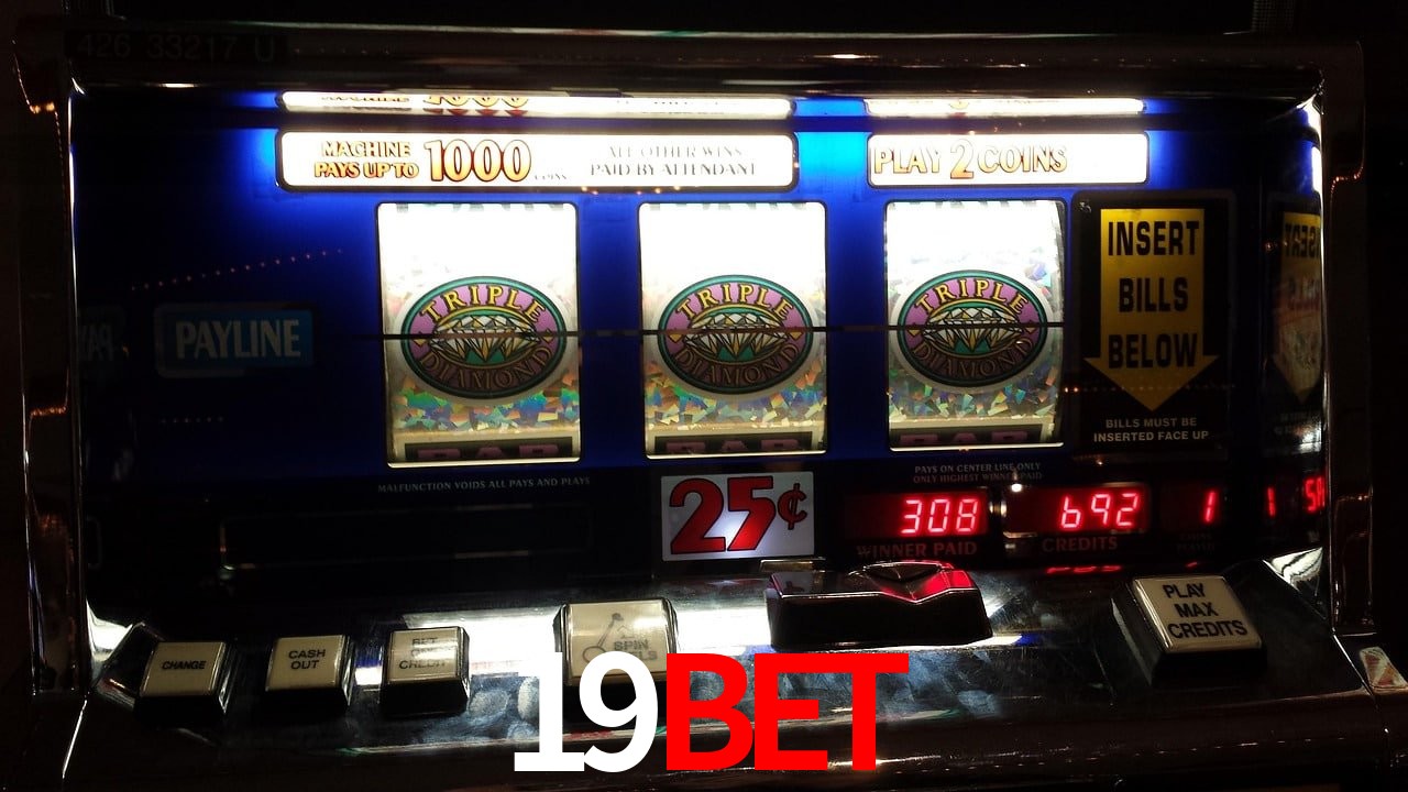 Sports Statistics 19bet